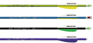 ARROW GENESIS NASP 3"VANES 1820 WITH POINT