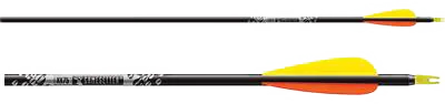 ARROW GAMEGETTER