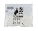 FEATHERS SHIELD 3" RW