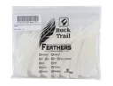 FEATHERS SHIELD 4" RW