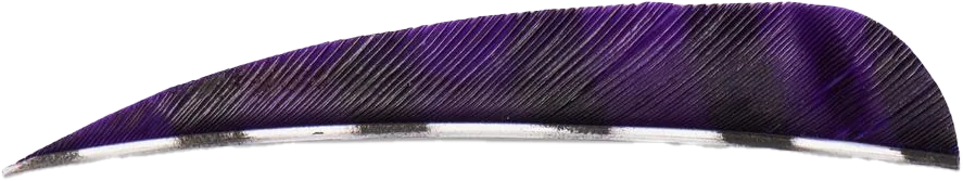 FEATHERS ROUND 4" LW BARRED PURPLE 100/PK