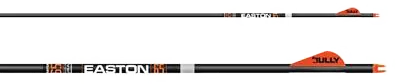 ARROWS 6.5 RTS