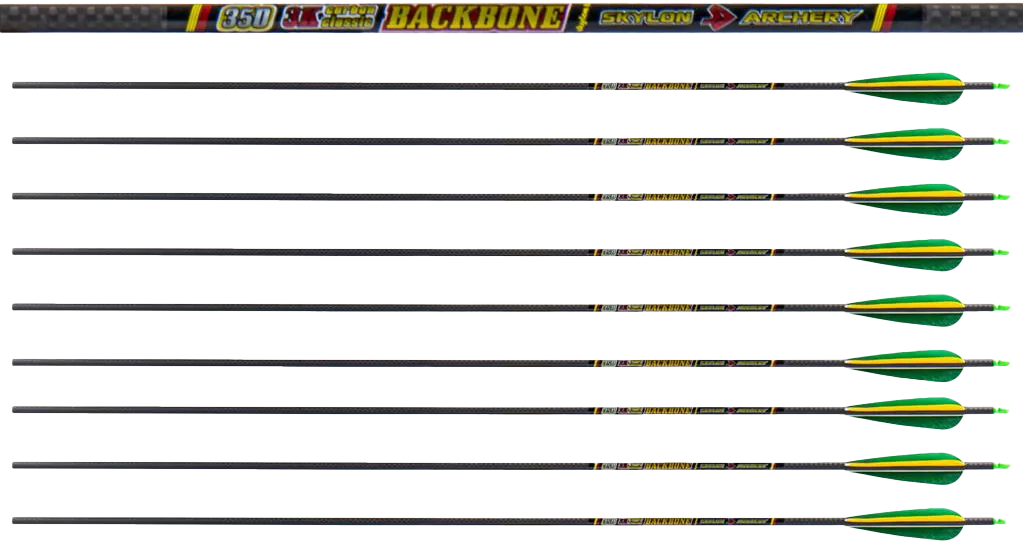 SHAFTS CARBON 3K BACKBONE ID5.2