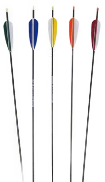 ARROWS CARBON SLIM LINE SUMMER EDITION spine