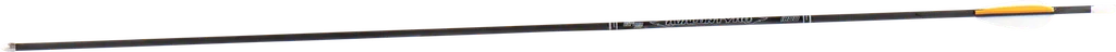 ARROWS CARBON TYRO 4.2