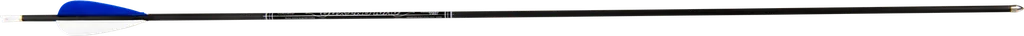ARROWS TYRO 4.2