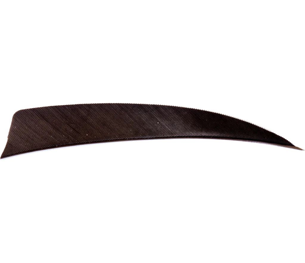 FEATHERS SHIELD 3" RW