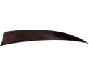 FEATHERS SHIELD 3" RW