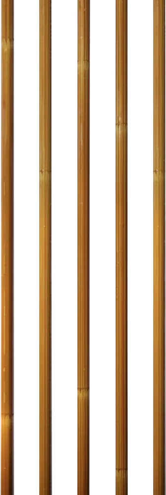 SHAFTS CARBON PENTHALON SLIM LINE BAMBOO spine