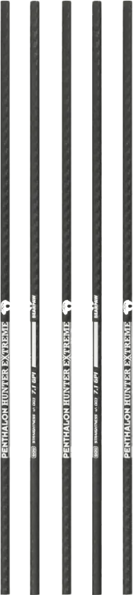 SHAFTS CARBON PENTHALON HUNTER EXTREME spine