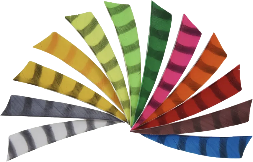 FEATHERS SHIELD 4" RW BARRED