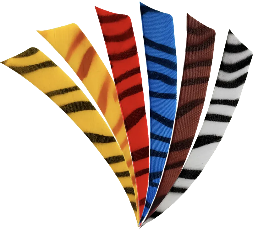 FEATHERS SHIELD 5" RW ZEBRA
