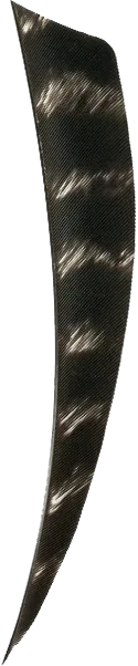FEATHERS SHIELD 4" RW NATURAL BARRED