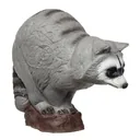 BEIER 3D TARGET RACCOON : L50 x W22 x H40cm GROUP 4