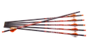 RAVIN CROSSBOW BOLTS CARBON RAVIN with ORANGE NOCKS .003 3/PACK