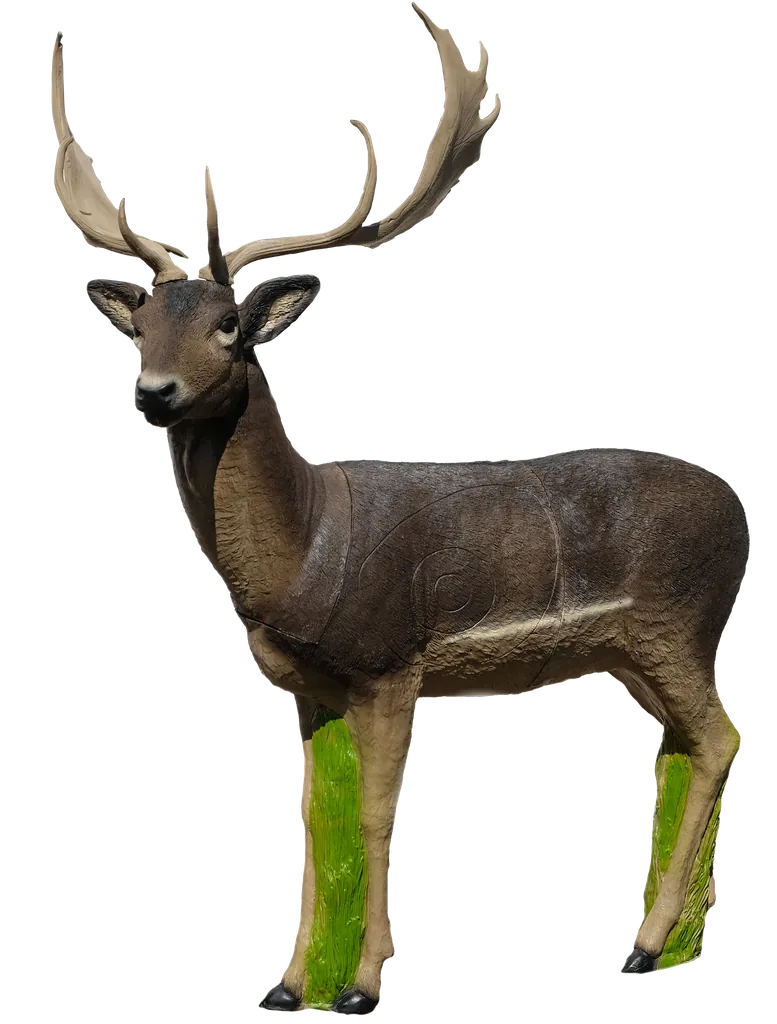 TARGETS 3-D FALLOW DEER