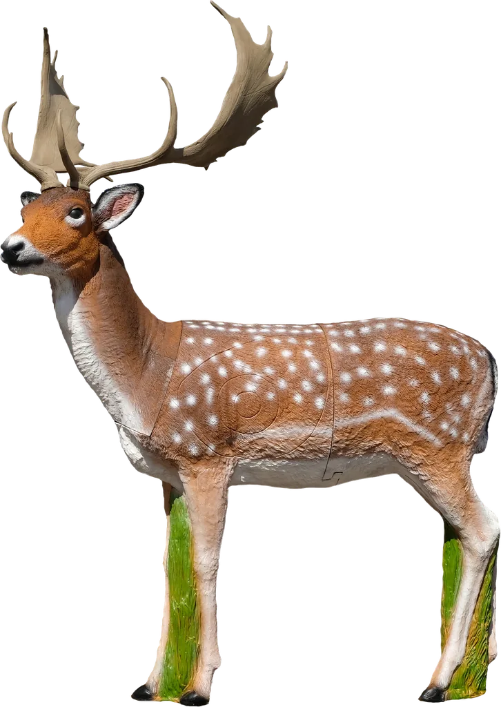TARGETS 3-D FALLOW DEER