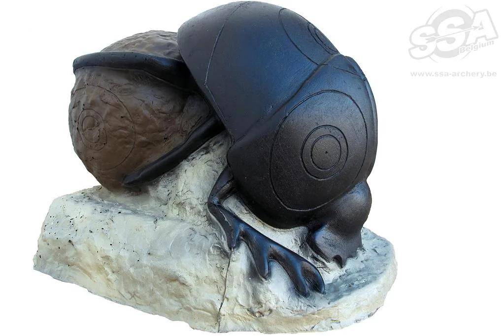 3D TARGET BEETLE
