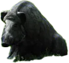 NATUR FOAM 3D TARGET WILD BOAR - SITTING