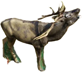 NATUR FOAM 3D TARGET DEER