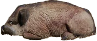 NATUR FOAM 3D TARGET WILD BOAR - LYING
