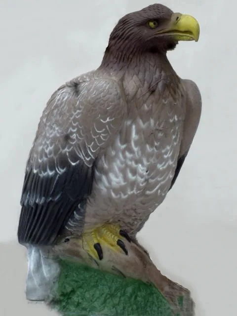 3D TARGET EAGLE