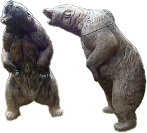 NATUR FOAM 3D TARGET BEAR BROWN - THREATENING