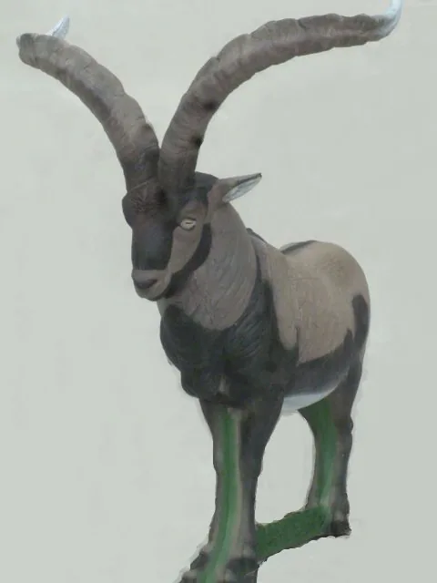 NATUR FOAM 3D TARGET MACHJO MONTES - STANDING