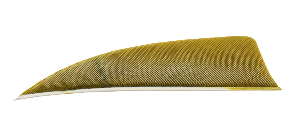 FEATHERS SHIELD 3" LW