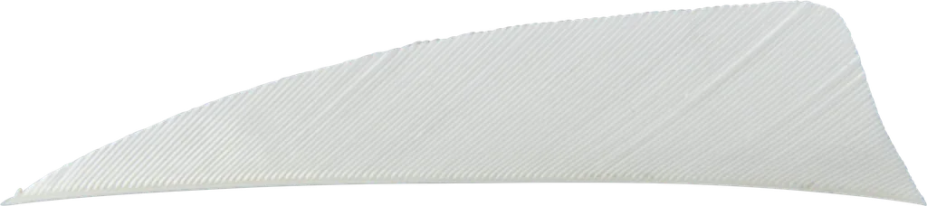 FEATHERS SHIELD 3" RW